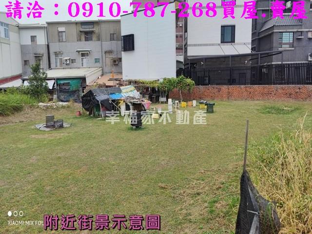 仁德農地-12