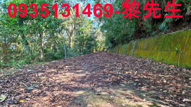 新竹縣峨眉鄉建地農地休閒地