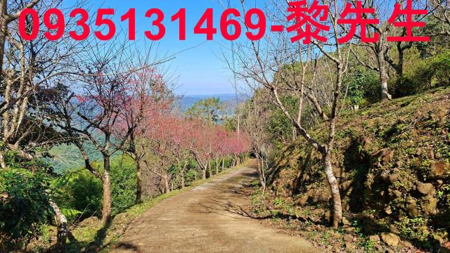 新竹資材室新豐田農地