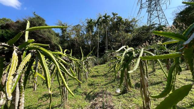 新竹縣尖石鄉農地農舍休閒地