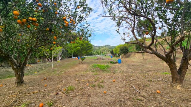 新竹北埔農地-14