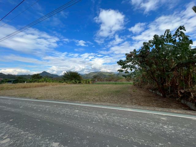 高雄美濃農地-8