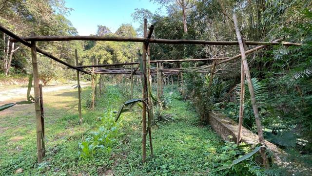 新竹峨眉農地-10