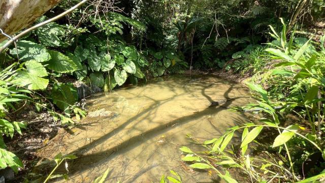 新竹峨眉農地-5