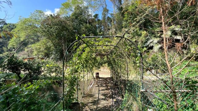 新竹峨眉農地-6