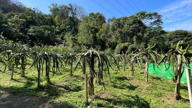 新竹農地新竹山坡地新竹休閒地新竹景觀地小坪數農地露