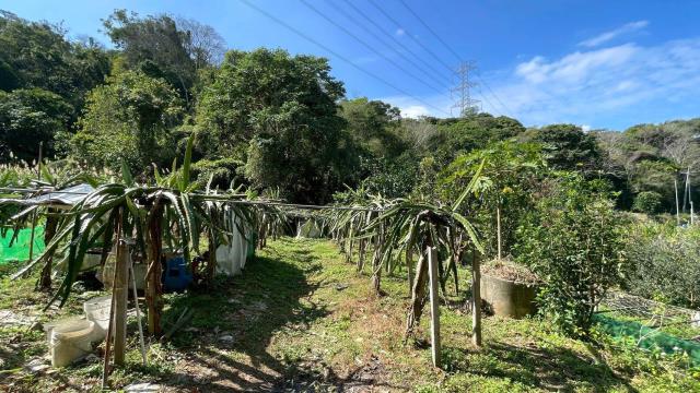 新竹峨眉農地-8