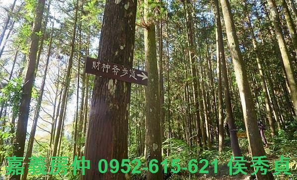 新竹北埔農地-5