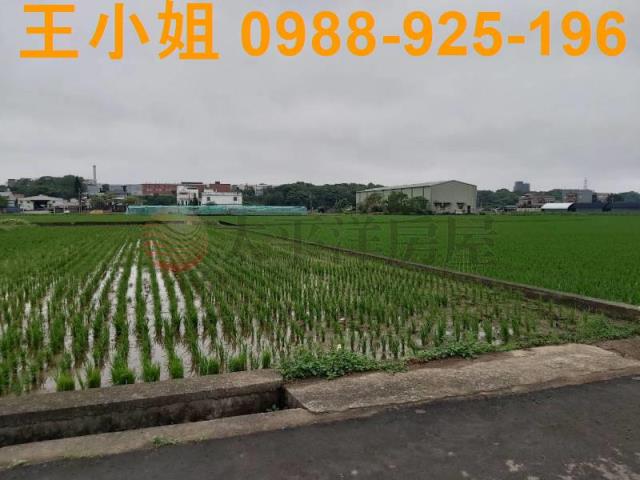 桃園楊梅農地-1