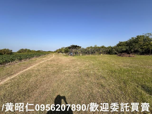 台南安南農地-0