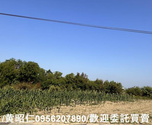 台南安南農地-5