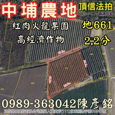 中埔法拍農地-3