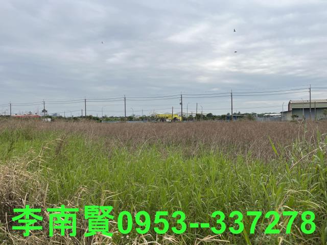 仁德農地-2