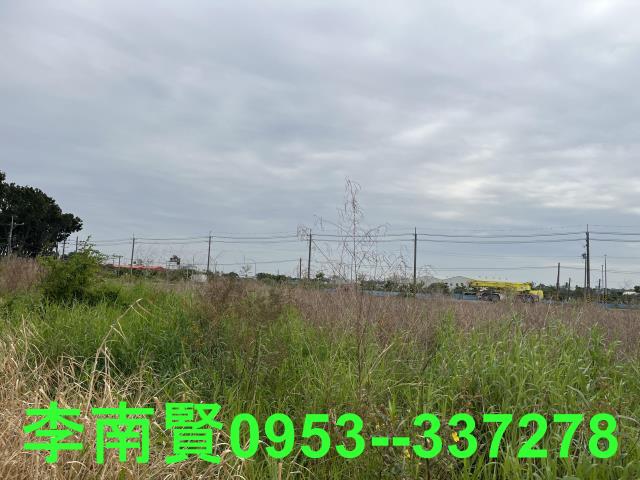 仁德農地-5