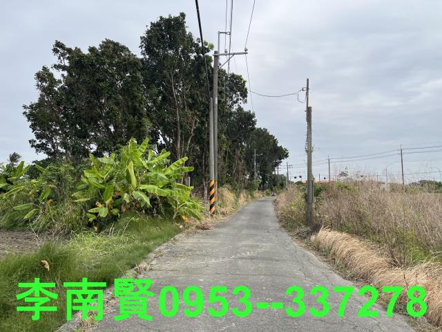仁德農地-8