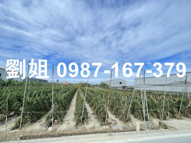 大寮農地-1