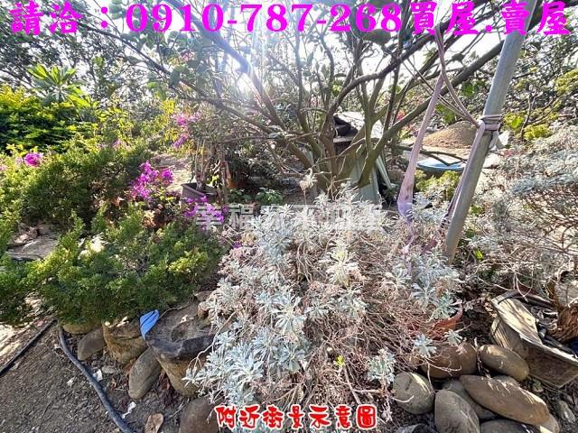 台南農地-10