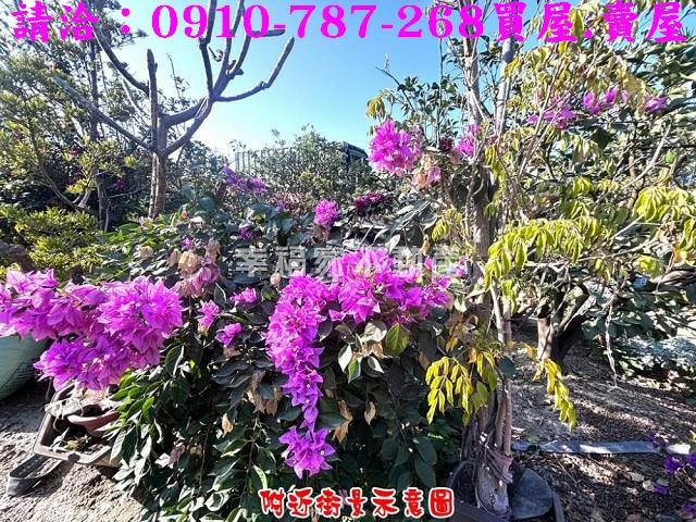 台南農地-11
