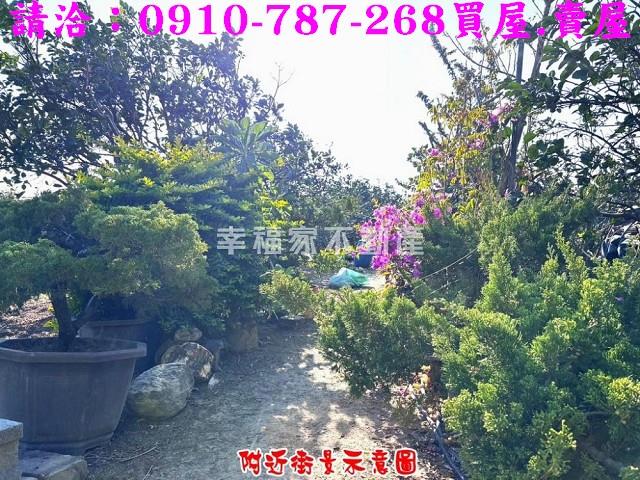 台南農地-12
