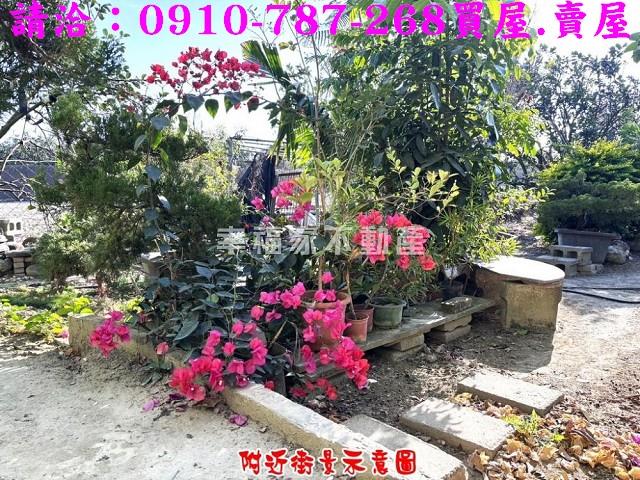 台南農地-13