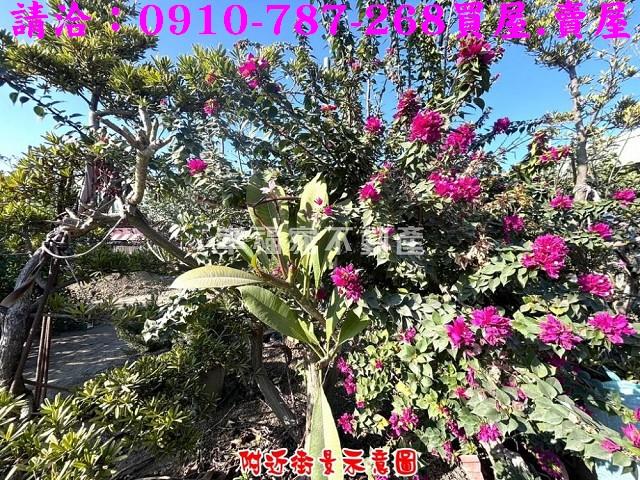 台南農地-14