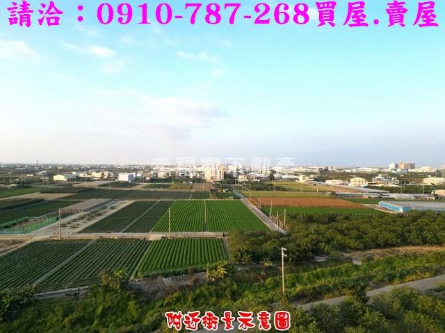 台南農地-1