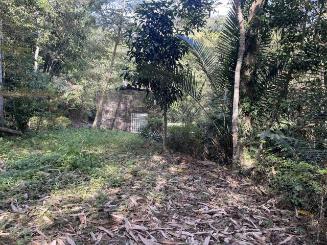 南投鹿谷農地-5