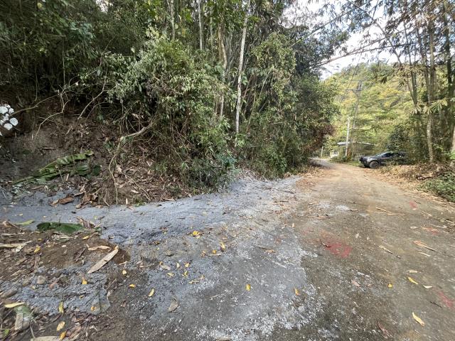南投鹿谷農地-7
