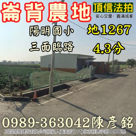 雲林崙背法拍農地-2