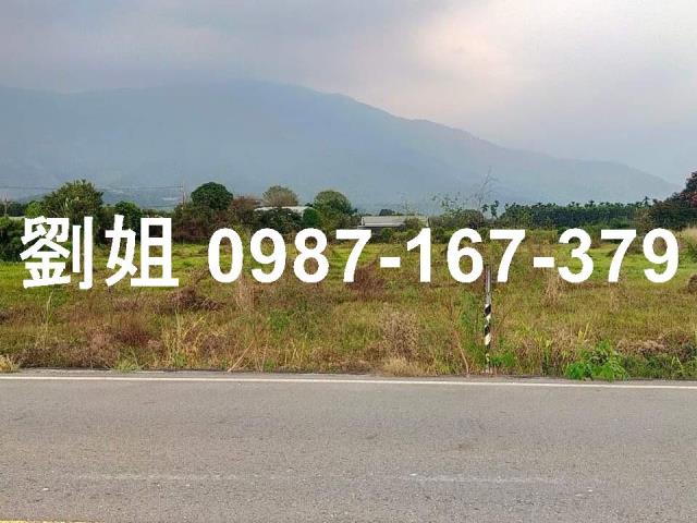 屏東高樹農地-1