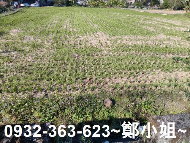 桃園大溪農地-6