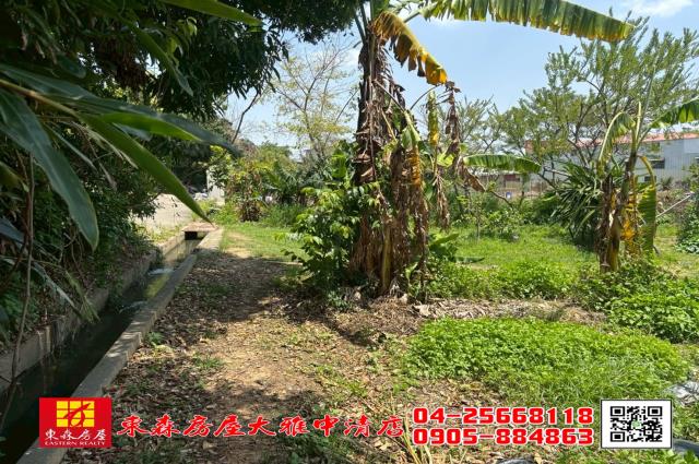 台中大雅農地-6