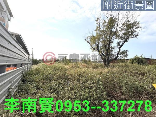 仁德農地-8