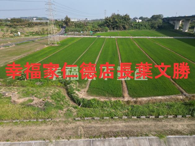 官田農地-9