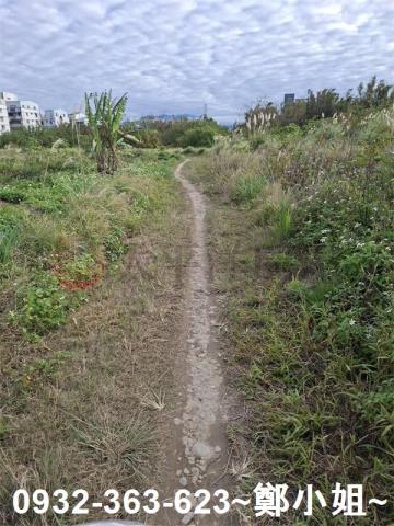 桃園大溪農地-1