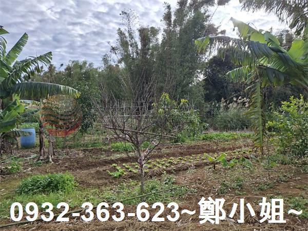 桃園大溪農地-6