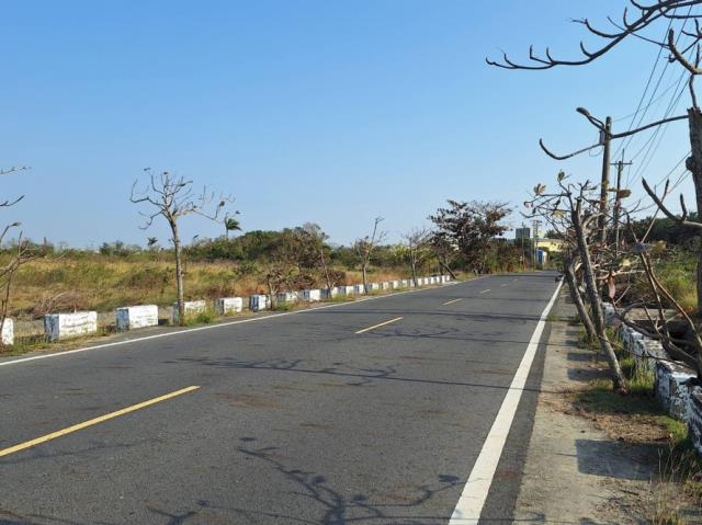 台南學甲農地-2