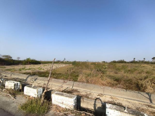 台南學甲農地-7