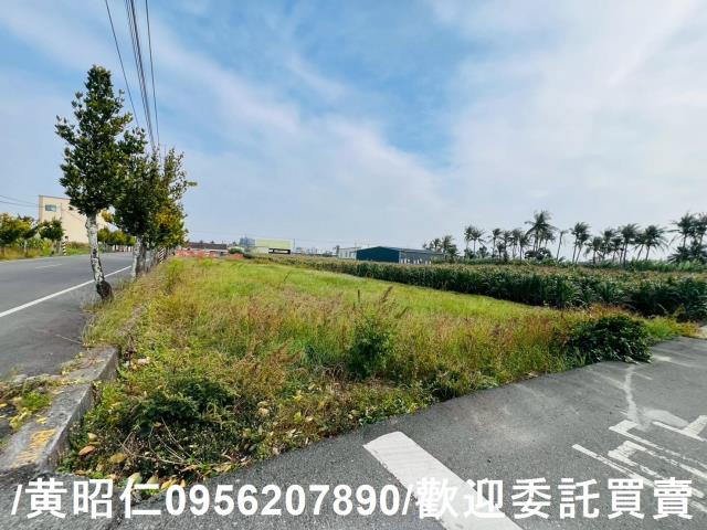 台南安定農地-8