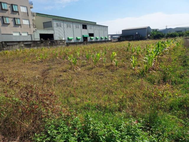 台南歸仁農地-2