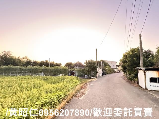 台南仁德農地-9