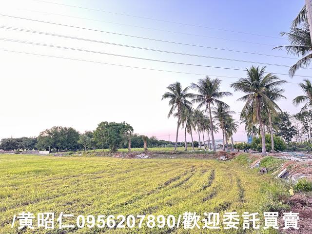 台南仁德農地-3