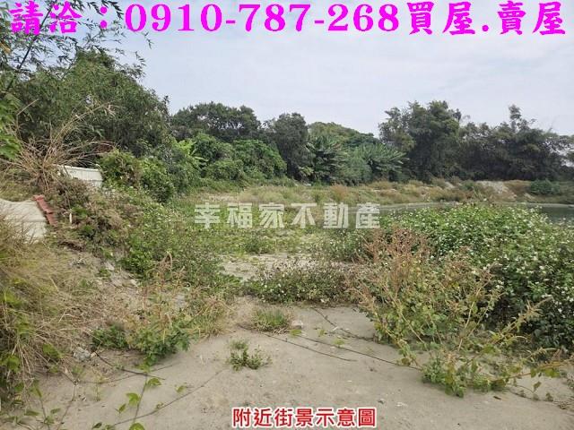 歸仁農地-12