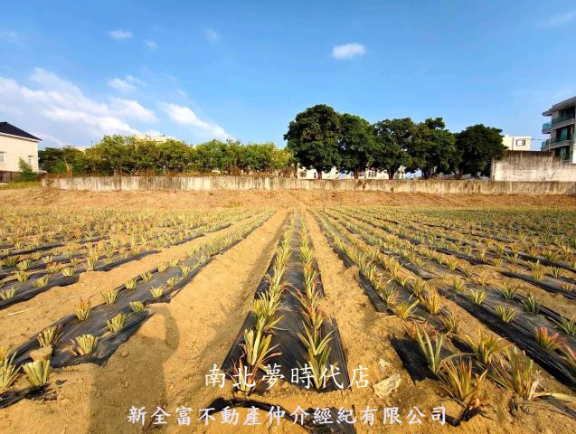 關廟農地-0