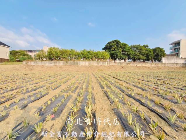 關廟農地-3