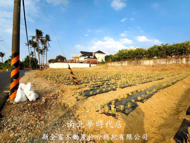 關廟農地-4