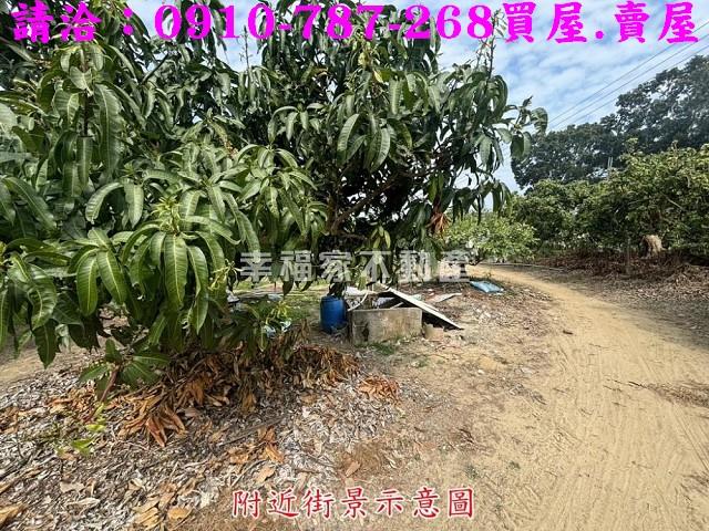 楠西農地-9