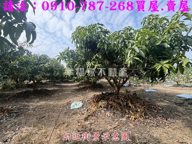 楠西農地-10
