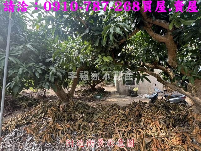 楠西農地-11