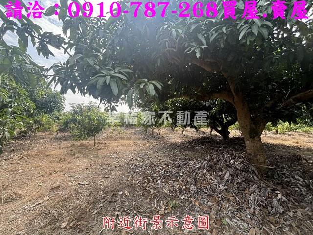 楠西農地-12